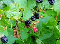 K1024_DSCN3562.webp