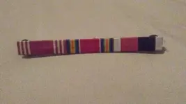 ribbon bar.webp