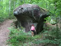 ImageUploadedByTreasureNet.com1464995440.923812.webp