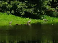 K1024_DSCN3608.webp