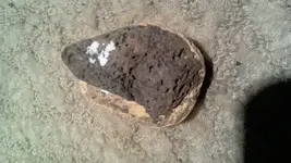 WIN_20160715_192320.webp