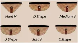 neckshape.webp neckshape.webp