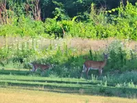 K1600_DSCN3768.webp