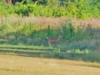 K1600_DSCN3770.webp