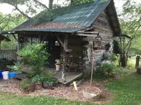 image.webp