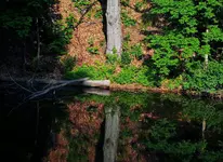DSCN1562.webp