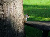 DSCN1567.webp