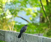 DSCN1570.webp