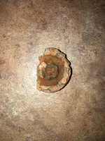 ImageUploadedByTreasureNet.com1467376348.044962.webp