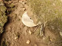 Pottery disk 7-23-16 001.webp