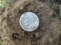 Racer F75DST War Nickel Rosie Mercury Dime 004.webp