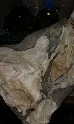 20160731_151853.webp
