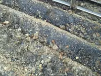 Foto0357.webp