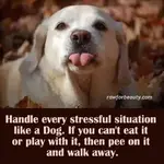 FB_IMG_1469711520064.webp FB_IMG_1469711520064.webp