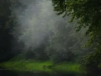 DSCN3526.webp