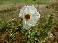 bike ride 062016 1.webp