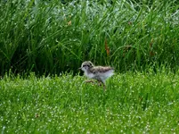 DSCN2150.webp