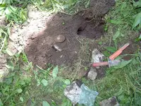 Picture 039.webp