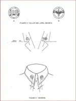 collarpin2.webp