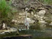bike ride 062016 4.webp