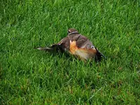 K1600_DSCN2143.webp