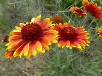 bike ride 062016 5.webp