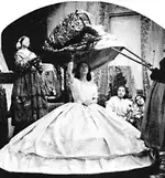 crinoline4.webp