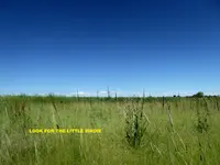 walk 060416 2a.webp