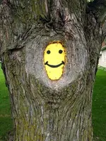 smile.webp