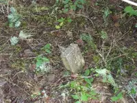 P1020163.webp