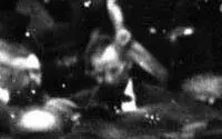 abe-the only known photo.webp