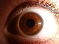 DSC00348.webp
