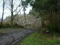 P1020182.webp