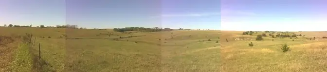 Untitled - 9.webp
