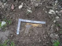 Murder Weapon 003.webp