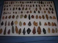 collection 017.webp