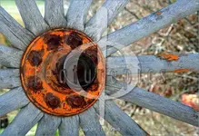 Wagon Wheel Hub 12-29-07.webp