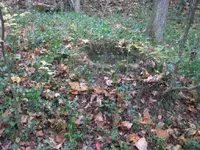 IMG_1001.webp