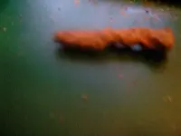 old nail.webp