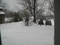 snow birds rainbow 001.webp