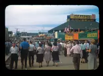 SFP1948-1.webp