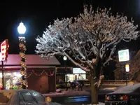 snow birds rainbow 018.webp