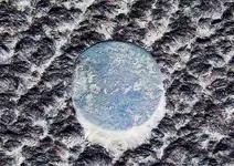 Virginia001.webp