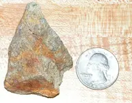 Rand Shist Gold crop sm.webp