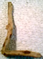 unk3.webp