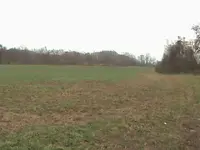 out in the field 003.webp