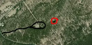 Aerial 1 Paint.webp