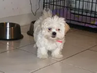 Winnie.webp