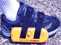 blueshoe.webp