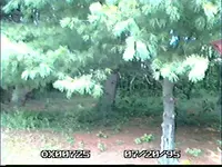 ox007025.webp